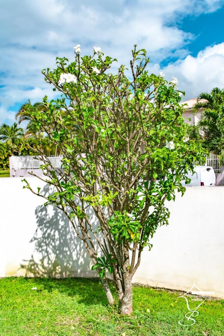 Villa Marissea Riviere-Salee Exterior photo